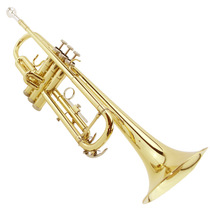Professional Flagship Store McGwitt B- flat Trumpet Musical Instruments Beginners Professional Trumpet Musical Instruments MTR-10