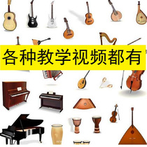 Professional flagship store electronic piano teaching video tutorial zero basic beginner self-study adult less children learning
