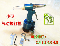 Taiwan pneumatic nail gun industrial grade riveting gun hat rivet gun nail pulling machine core pulling high quality