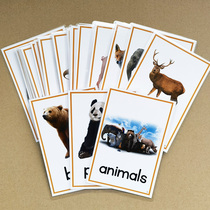 Animal Cognition Card 68 English Enlightenment Childrens Words Flash Card Baby Early Education Toys Kindergarten Teacher Teaching Ads