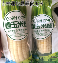Tonghua County Jilin Province fresh food corn fresh northeast soft glutinous sweet wan glutinous corn cob vacuum packaging coarse grain meal replacement