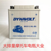 Lion Motorcycle Battery 12v30A Harley Big Gliding Road King Bombardier Motorboat Happy 260 Spring Breeze X8
