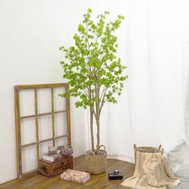 Simulation green plant Japanese Bell bionic plant ornaments indoor living room decoration fake tree horse drunk Wood landing large potted plant