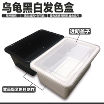 Turtle hair color box Isolation box Color pot crocodile turtle egg turtle razor Medaka black white solid color heating feeding box