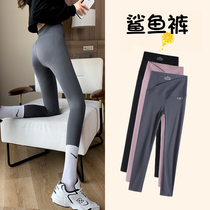 Shark pants outside wearing womens spring and autumn thin strips of no marks and matte and thin legs crossed waist to collect hip and hip Barbie with underpants