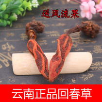 Huichun Grass 500g Tiangzhu Yunnan Cistanche is not old grass should be matched with Cynomorium Cistanche Epimedium