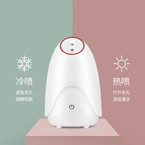 Steamer detoxification water beauty salon sprayer hot spray cold spray instrument application mask essence introduction instrument household small