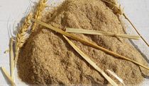 China straw powder wheat straw flour farm fresh dry wheat straw Mill beef and sheep feed wheat straw powder 250g