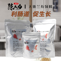 Chen Dali General Lanshou feed Yongjie goldfish Thai Lion high protein sinking bottom type small particles Pans fish food