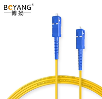 BOYANG Telecom-grade fiber optic jumper pigtail SC-SC single-mode single-core (9 125 2 0 3 0)