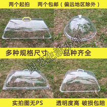 Food cover Transparent round dustproof rectangular thickened bread cover Vegetable preservation cooked food baking tray Buffet cover plastic