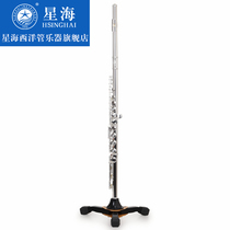 Xinghai flute instrument XF-200 silver-plated 17 holes C tune professional grade test performance B tail tube music long flute