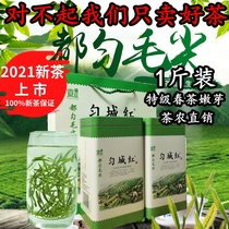 Duyun Mao Jian Tea Green Tea premium Guizhou 2021 new tea cloud Mao Jian buds 500g gift box fragrant type