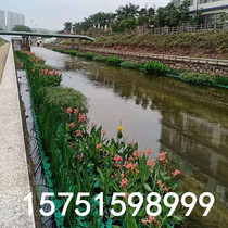 Ecological floating island biological floating bed water plant planting water surface Greening water artificial floating island floating bed ecological floating bed