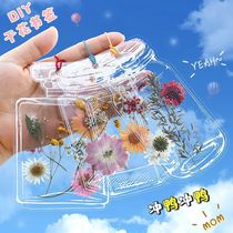 Transparent dried flower production folder leaf specimen plant diy hand-collected book specimen book tool material package bookmark