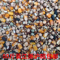 ge liang variety Hong CLASS A nutrition sai fei feed the poo and EE seed bird pigeon guan shang ge pigeon food ge zi shi 50 pounds
