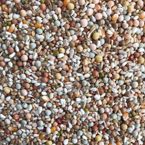 Beijing Tianyou Wanjia Pigeon Grain (Juvenile Pigeon Premium) 50kg Pack Jiangsu Zhejiang Shanghai and Anhui