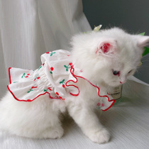 Cat clothes kitten cat skirt puppet over bear puppy Bomei Korean vest Teddy summer thin summer