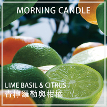 Lime Basil with citrus flavor fragrance DIY aromatherapy plaster candle expanded essential oil handmade material