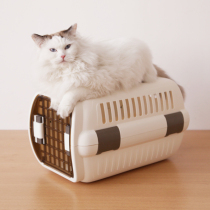 Li Xian with Cat Le Shi Airbox Pet Suitcase Cat Nest Cat Villa Air Shipping Case Cat Suitcase