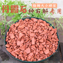 Special Dendrobium Chishui Danxia stone gravel Dendrobium nobile Dendrobium Lan Huoshan iron Dendrobium seedling basin