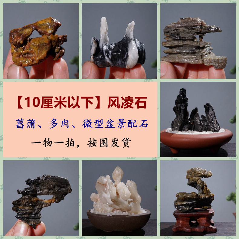 鱼缸灵璧石-鱼缸灵璧石促销价格、鱼缸灵璧石品牌- 淘宝