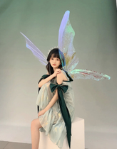 Seahorse Christmas Angel Transparent Butterfly Wings Photo Studio Photo Christmas Transparent Elf Wings Decoration