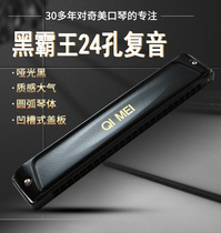 German imported sound Reed 24 holes 28 holes Polyphonic C tune Advanced Beginner adult professional performance harmonica male Lady