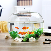Fish tank high-end round transparent glass thickened large goldfish tank turtle living room desktop small hydroponic ball