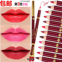 Womens Lip Liner Sub-matte Velvet Lipstick Pen Lip Pen Aunt color Waterproof long-lasting non-bleaching Beginner