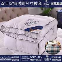 Export Hilton Hotel duvet winter quilt thick warm feather velvet spring and autumn summer quilt single double student quilt