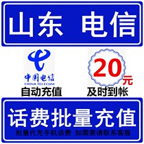 Shandong Telecom 20 yuan phone bill fast recharge seconds professional batch recharge to charge National large mobile phone payment