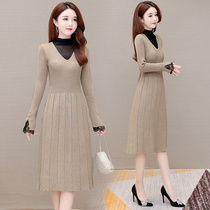 Dress suitable for fat people this year popular with coat knitted base skirt temperament female 2021 Spring and Autumn New