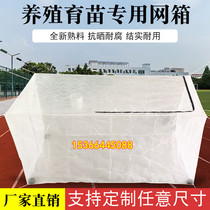 100-mesh nursery water flower cage breeding yellow eel mud loach oxymoron spawning and hatching leech leech net cage stamped