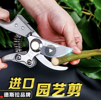 Pruning scissors Fruit tree pruning branch scissors Garden trimming scissors Pruning scissors Thick branch scissors Gardening scissors Labor-saving