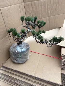 五针松精品盆景-五针松精品盆景促销价格、五针松精品盆景品牌- 淘宝
