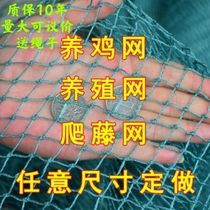 (Chicken special network) chicken net bird bird net poultry pheasant net vegetable garden net breeding net climbing net net top Net