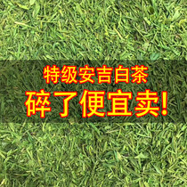 White tea fragments 2021 new tea on the market Anji white tea before the Ming special white tea fragments 500g