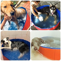 Teddy golden dog bath tub large dog foldable cat pet bath tub dog bath tub