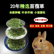 2020 Handmade Selected Alfalfa Rabbit Grass Chinatelia Pigs