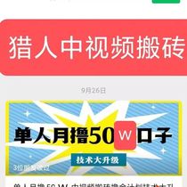 Hunter Alliance Hunter E-commerce Course Single Month 500000 Video Brick Moving Plan Course