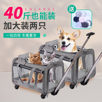 Cat Bag Out Portable Pet Pull Bar Box Breathable Foldable Dog Bag Large Capacity Big Number Two Cats Dog Hand