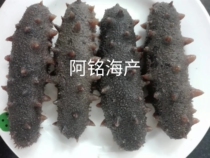 Penglai specialty semi-dry 250 500g sea cucumber pull jar salt sea cucumber 30-80 head