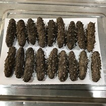 Long Island specialty wild sea cucumber sea cucumber 500g 30-50 pure light dry sea cucumber Salt free sea cucumber dry goods