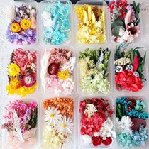Preserved flower material package dried flower photo frame group fan painting greeting card dried flower handmade natural real flower box glue diy salon