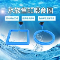 Fish tank feeder Fish feeding circle Small fish Guppy feeding circle Floating fish food feed feeding circle