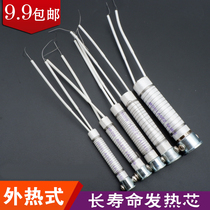 Benefit external hot soldering core 30w40w60w80w100w150w200w300w 10 sets of heating core