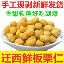 Qianxi chestnut Rensheng fresh 2 pounds raw chestnut kernels peeled chestnuts shelled chestnuts peeled millet peeled oil chestnut meat vacuum 5