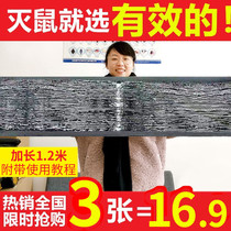 Mouse paste strong mouse board use rat sticky rat trap Medicine felt glue glue catch and stick thick plus large magic carpet