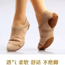 Cheerleading shoes for children camel cheerleading shoes training competition shoes dance shoes aerobics womens shoes